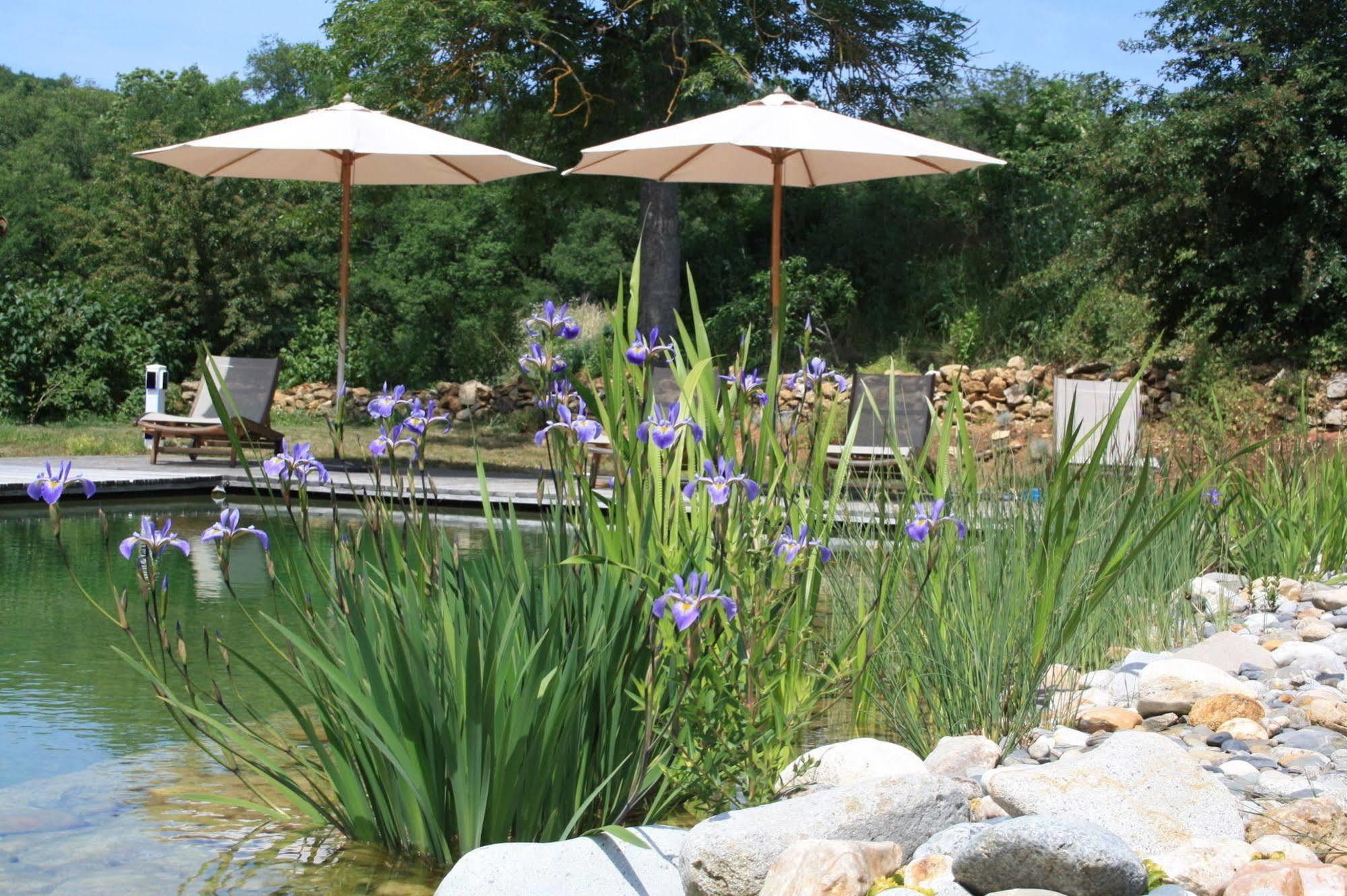 Le Hameau Du Quercy Bed and Breakfast Frontenac  Exteriör bild